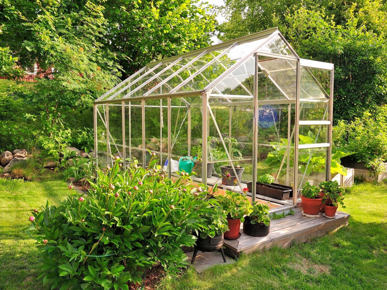 GewächshausSchnäppchen bei Lidl Perfekt für Garten, Balkon & Terrasse